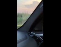 Woman violet dress poses at tall grass