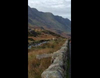 Woman beige dress dances side of road Part 1