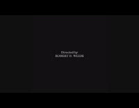 Dog jumps glass coffee table chocolate cake