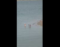 Collab IITW - Lady Poses like Mermaid in Lake 