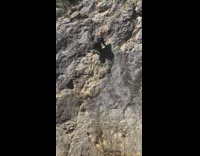Girlfriend Climbs Up Rock for Photo on Hike 