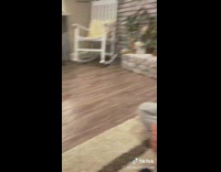 Woman gets her girlfriend a pet pig