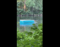Guy paddling inside a inflatable pool in the lake 
