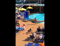 Collab IITW - Woman in bikini poses and pretends to balance on a ball at the resort