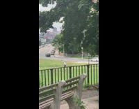 Old man play golf on park lawn