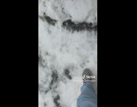 Man Slides Down its Frozen and Slippery Yard