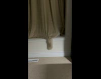 Cat hide behind curtain wag its tail