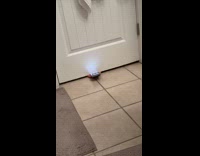 Man sliding phone underneath door trying to record friend 