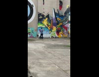 Silver jacket girl push ups two dogs 