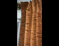 Collab BitchMP - Guy hits cricket bug on his curtain making noise and it stops