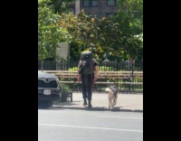 Man with backpack and dog on leash