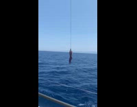 Woman swings around rope tied around boat