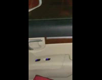 Collab BitchIG2 - Girl rolls down windows to raccoons in driveway 