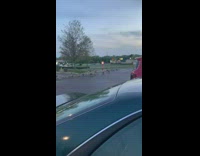 Collab BitchMP - Goose parade walking through parking lot