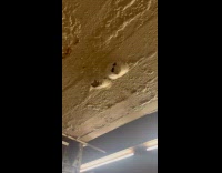 Woman hit by dirty water from subway ceiling