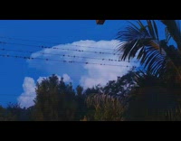 Lightning bolts stay inside white cloud 