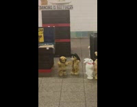 Saxophone Artist Performs with Dancing Animals 