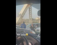 Older lady and man outside vehicles in traffic arguing