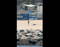 Woman belly dances for a beach video