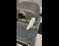 Cat squeezes into small square hole litter