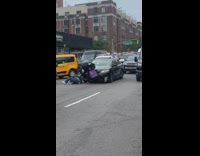 2 guys fight in front of cars 
