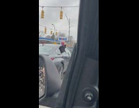 Pet dog howls with the fire truck siren in the street