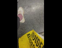 Small dog sitting inside tote bag on subway train