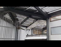 Brown eagle bird flies around white building 