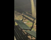 Raccoon eating noodles out of takeout box in park