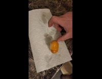 Man cut in half malformed bouncy egg