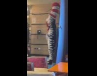 Collab Clips MPUGC - Woman calls person in costume like a cat 