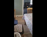 Man open light release mouse inside house