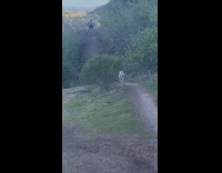 Collab BitchMP - Guy does bike dirt hill jump dog follows