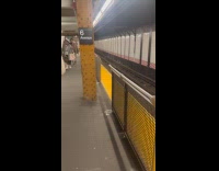 Submitter shows installed railings at subway platform