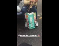 Woman with TJ Maxx bag clips her fingernails on the subway