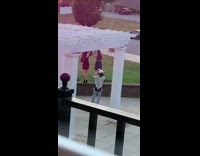 Two girls hold hands stand brick ledge