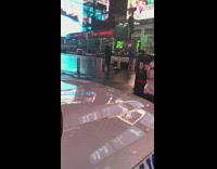 Two people walk black white skunk 