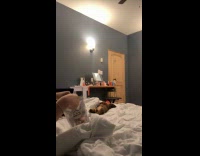 Puppy wakes up to snack sound being opened