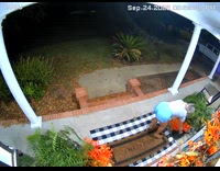 Woman commands dog to trip boyfriend 