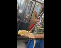 Two men camouflage bape shirt hold two iguanas in their hands on subway train