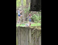 Barefoot guy stands metal ladder backyard photoshoot
