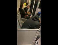 Guy brown cat on lap subway train