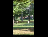 Collab WINY - Woman black hat swing stick exercise park