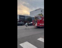 Woman white dress poses on the firetruck