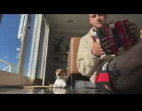 Guy plays red accordion dog howls along