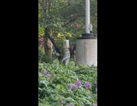 Person dressed as statue with block on head walks through park