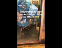 Large bags of recyclables squeeze pt. 2