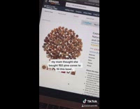 Mom amazon order tiny pinecone 
