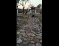 Guy gives monkeys water from bottle mountain 