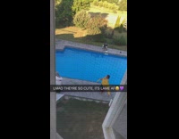 BitchMP - Backyard pool bollywood  music video